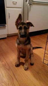 11024597_10100414472171406_4995963553646365721_n