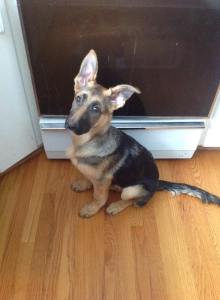 Someone's got her big girl ears!